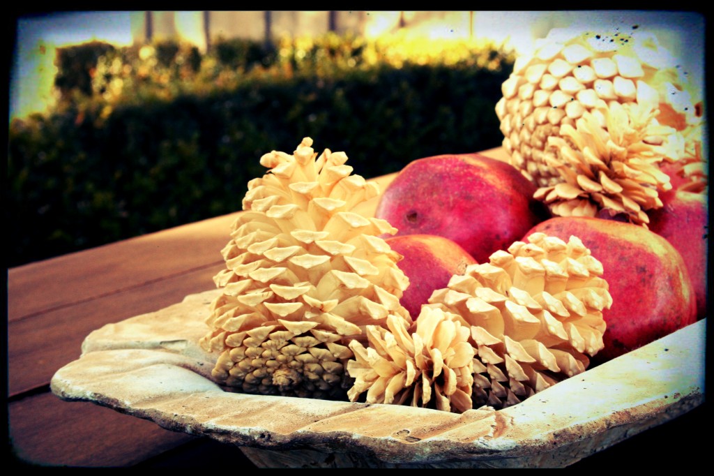 Pine Cones