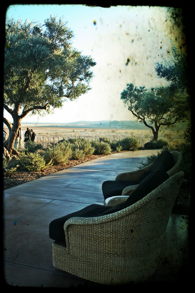Ram's Gate Terrace Sip and savor the wines and the views.