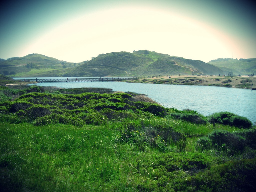 Lagoon