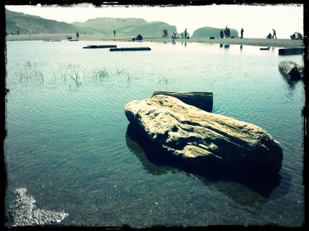 Wood